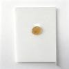 Hydrophobic melamine sponge