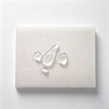Hydrophobic melamine sponge